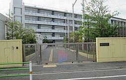 [周辺] 大田区立羽田中学校 徒歩17分。 1350m