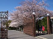 自転車で5分