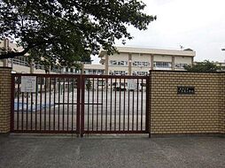 [周辺] 板橋区立下赤塚小学校まで520m、板橋区立下赤塚小学校