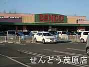 SENDO茂原店まで600m