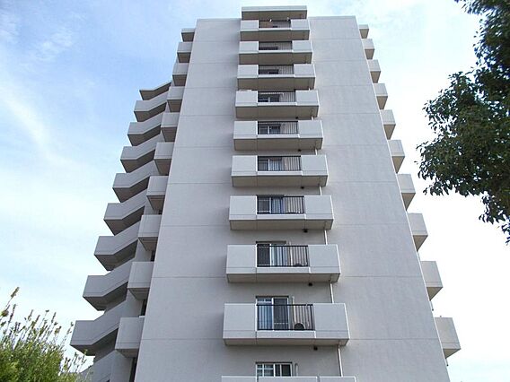 南海高野線「北...