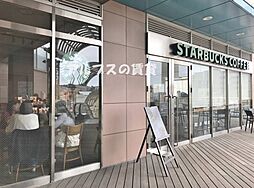 [周辺] 【喫茶店・カフェ】スターバックス コーヒーらびすた新杉田店まで257ｍ