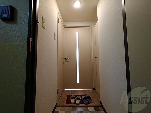 画像12:玄関の様子です。広い洋室にすぐ繋がっています。