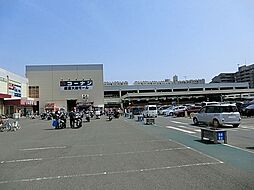 [周辺] ホームセンターコーナン鎌倉大船店まで145m