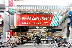 [周辺] MARUSHO江戸川橋店 徒歩4分。スーパー 300m