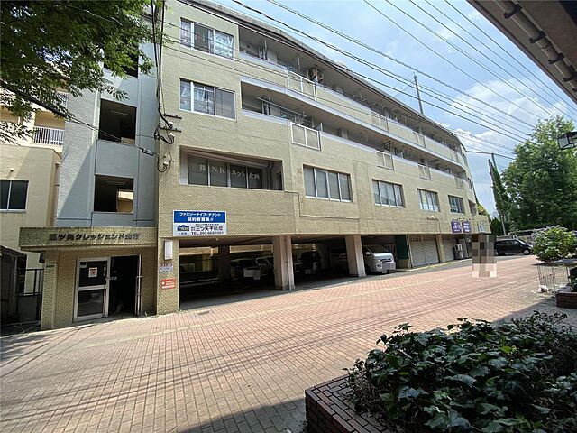3 / 19