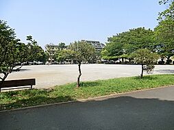 [周辺] 【東綾瀬公園】三世代スポーツ公園として野球場、テニスコート、武道館、温水プールなどを備えており、年齢を問わず楽しめる公園です。