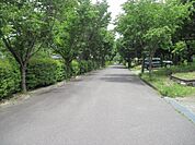 前面市道