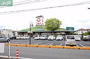 ニシナフードバスケット三門店 484m