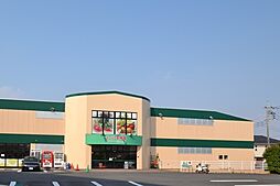 [周辺] スーパー生鮮館TAIGA海老名下今泉店まで175m