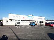 ウエルシア日立田尻店（238m）