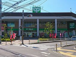 [周辺] サミットストア横浜岡野店まで808m、他にインテリア雑貨、100円ショップ・ドラッグストア・ファッション・飲食店・各種クリニックなども揃って便利なお店です。