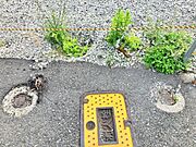 閑静な住宅街です。