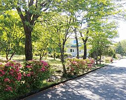 福島県二本松市馬場平の土地画像