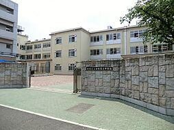 [周辺] 板橋区立赤塚第三中学校（1166m）