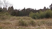 千葉県山武市大木：物件画像