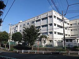 [周辺] 【小学校】横浜市立矢部小学校まで356ｍ