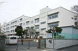 [周辺] 横浜市立永野小学校 528m