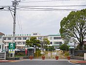 佐賀市立神野小学校（891m）