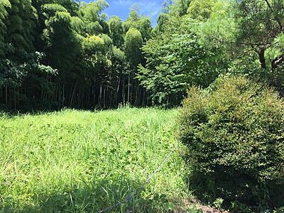 外観：高台に立地、南側公園