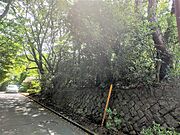 現地