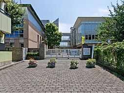 [周辺] 小学校 240m 西東京市立けやき小学校