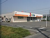 ジャストドラッグ南店（809m）