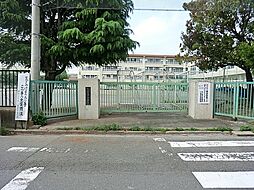 [周辺] 川崎市立中原中学校まで1455m、戦後間もない1947年に開校。等々力緑地や多摩川等の自然に囲まれ、地元では校風の穏やかな中規模校として知られる