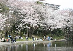 [周辺] 山田富士公園　270m　池と緑に溢れた大きい公園は、みんなをリフレッシュしてくれる場所です。 