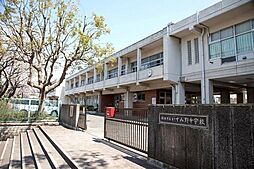 [周辺] 横浜市立いずみ野中学校まで825m、小中学校間の連携を深めることにより義務教育9年間の円滑な接続が図れるよう、中学校区を基本として推進しています。