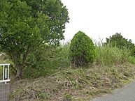 千葉県山武郡九十九里町小関：物件画像