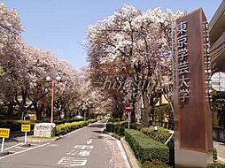 [周辺] 国立東京学芸大学 1149m