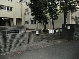 [周辺] 横浜市立常盤台小学校まで821m