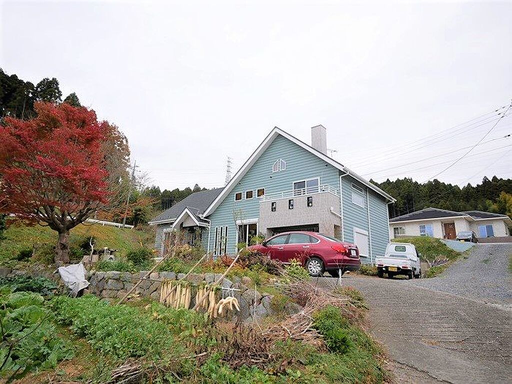 Image 19