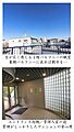 室内からの眺望