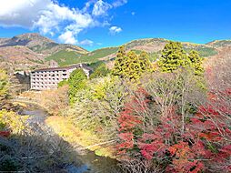 [外観] 早川の瀬音、四季折々の景色を楽しむ。東急リゾートヴィラ箱根仙石原「SEOTO」