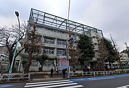 [周辺] 渋谷区立原宿外苑中学校 徒歩11分。 880m