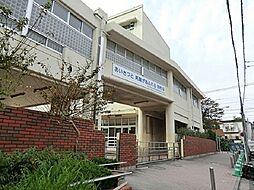 [周辺] 横浜市立岡村中学校まで1335m、自分の良さをみつけ、可能性を高めていくこと　健やかな体と思いやりの心を育んでいくこと　共に認め合い社会性を高めていくこと