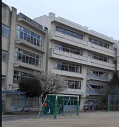 [周辺] 【小学校】松戸市立小金小学校まで486ｍ