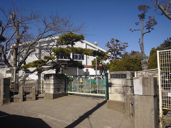 茅ヶ崎市立松林...