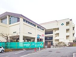 [周辺] 横浜市立森中学校まで935m、～自らの将来に向け夢の実現と、自らの可能性を追求し、お互いの違いを認め、変化する社会を生きぬく人をつくります～