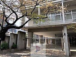 [周辺] 新宿区立西新宿中学校 徒歩11分。 850m