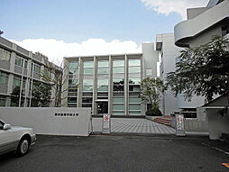 [周辺] 【大学】私立東京医療学院大学まで2436ｍ