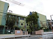 和歌山市立山東小学校まで331m