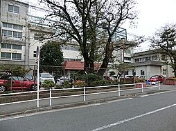 [周辺] 横浜市立万騎が原中学校まで696m
