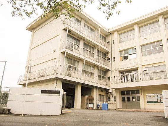 鎌倉市立玉縄中...