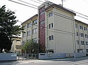 和歌山市立紀伊小学校まで710m