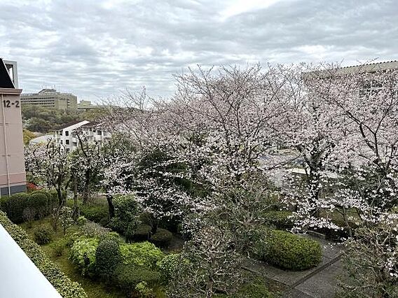 周辺には高い建...