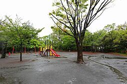 [周辺] 綱島公園