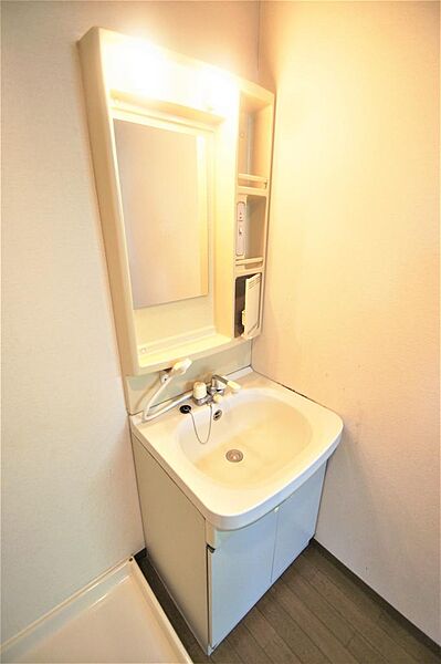 画像17:洗面化粧台はシャワー機能付きです。